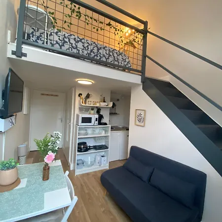Lespinet - Duplex Avec Parking Apartment Toulouse